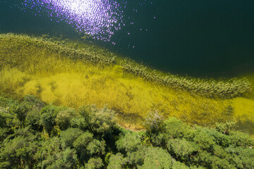 Top Down View of Lake Shore and a Forest of Labanoras Regional Park in Lithuania