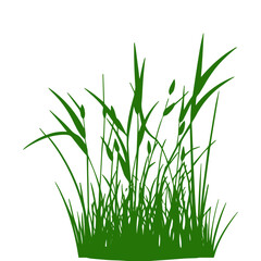 grass, nature, plant,leaf,ambush isolated vector 