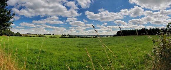Scenic panorama of a lush green countryside landscape with blue skies