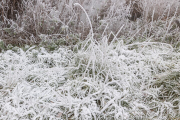 Heavy Winter Frost