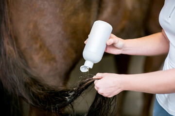 Hands Holding Horse Shampoo Mockup for Cleaning Tail and Mane in Stable Scene
