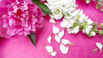 Bright Pink Peony and White Flowers on Textured Background