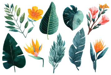 Obraz premium Set of colorful tropical leaves and flowers