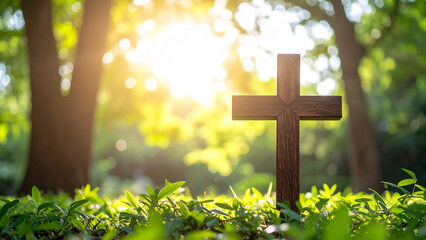 십자가 햇살 숲 나무 사진 이미지