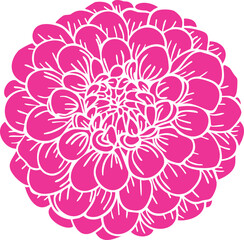 Pink zinnia bud vector clipart. Hand-drawn flower illustration