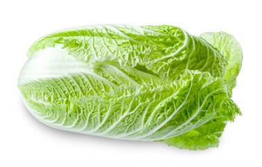 One fresh Chinese cabbage isolated on white