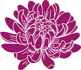 Chrysanthemum bud vector clipart. Hand-drawn flower illustration