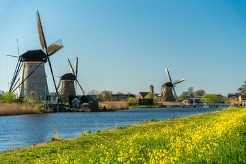 Fototapeta premium Traditional Dutch Windmills in Kinderdijk