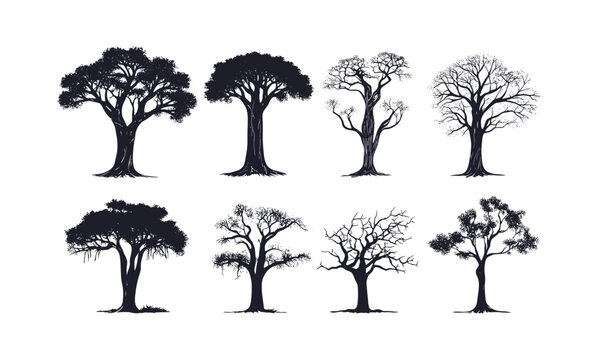Tropical Baobab Tree Collection, hand-drawn isolated tree, forest silhouette, savanna summer theme, nature design, vector illustration, dry landscape, African wilderness, exotic plants.