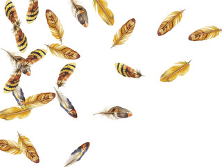 Fototapeta premium Adobe Illustrator Artwork