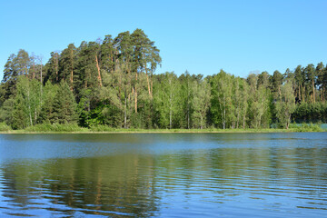Lakeside Forest with Calm Water and Blue Sky summer wallpaper