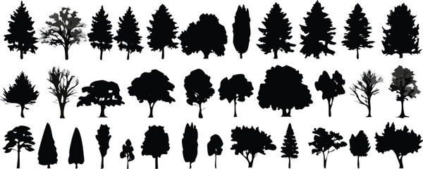 diverse tree silhouettes pack including pine oak and seasonal tree varieties vector
