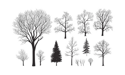 Snowy Birch Tree in Arctic Woodland, forest silhouette, engraving style, black tree, nature elements, winter forest scene, vector illustration, seasonal design.