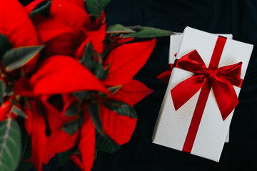 gift box next to poinsettia flower. Christmas traditions and customs. Surprises and gifts for...