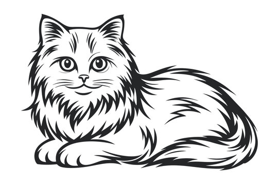 Detailed Line Art of a Relaxed, Fluffy Cat Lying Down - Vector Illustration, Isolated on White                                                        