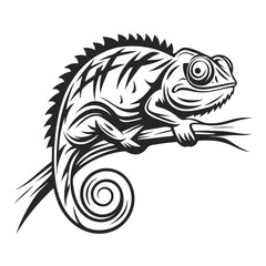 Obraz premium Monochrome Chameleon Illustration: Graphic Reptile on a Branch Design for Creative Projects, Isolated on White Background 