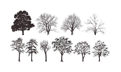 Blooming Grove Cherry Tree, Japanese Spring, soft pink blossom canopy, forest silhouettes, engraved style, vector illustration, floral pattern, spring landscape, botanical art.