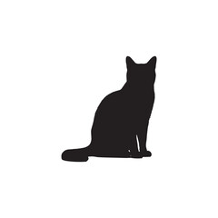Black domestic cat isolated on a white background