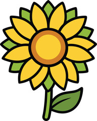 Fototapeta premium sunflower on white background