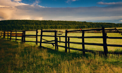 Fototapeta premium fence in the field