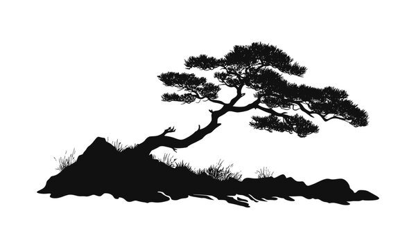 Rocky Forest Scene with Juniper Tree Silhouettes, canyon side dry terrain vector illustration, wild bushy tree clipart, hand drawn look, cutout, scenic forest element.