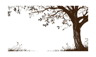 Chestnut Tree Autumn Forest Hillside Style, seasonal nature, wild tree silhouette, hand-drawn, forest clipart, vintage landscape, vector illustration, rustic woodland design.