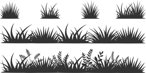 Silhouette of wild grass and plants against a white background, creating a natural vector illustration., Monochrome illustration of grass. Vector silhouettes