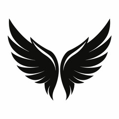 Obraz premium eagle with wings