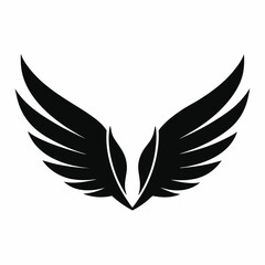 Fototapeta premium wings vector illustration