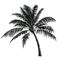 Palm tree vector icon art on white background. palm tree icon and logo. Adobe Illustrator Artwork