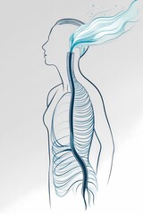 Illustration vectorielle d'une silhouette humaine en profil avec des lignes fluides représentant le flux d'air entrant et sortant des narines symbolisant la respiration consciente. Fond blanc style...