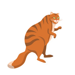 A red-haired cartoon cat walks on two paws, isolated on a white background.Vector illustration of a pet