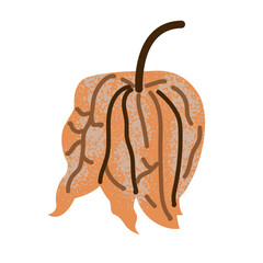 Physalis branch with leaves and berries vector sketch, hand drawn autumn gooseberry orange berry fruits in husk on stem. For poster, flyer, brochure, banner