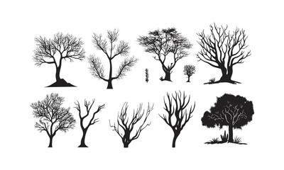 Desert Acacia Tree Silhouettes, arid landscape design, dry biome, savanna trees, thorny branches, sparse forest clipart, hot climate, minimalist black tree, wild desert nature, vector illustration.