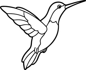 hummingbird line art vector illustration