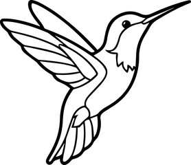 hummingbird line art vector illustration outline