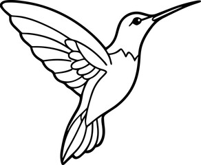 hummingbird line art vector illustration
