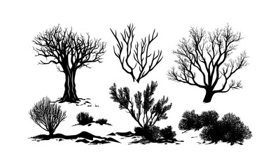 Mesquite Tree Silhouettes in Desert, engraved shrub vector illustration, arid landscape clipart, open range vegetation, drought tolerant plants, desert flora scene, vector illustration.