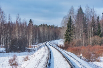 Railway track in the forest.