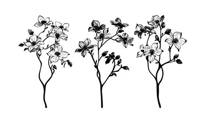 Dogwood Tree Vector Silhouette, prairie spring mood, botanical element, vintage tree, nature clipart, forest design, hand-drawn, vector illustration, flower outline, garden scene, seasonal flora.
