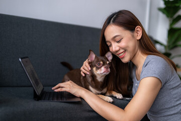 Obraz premium A woman is sitting on a couch with a laptop and a small brown dog