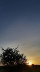 Lone tree silhouette against a vibrant sunset. Sky transitions from warm orange and yellow to deep twilight blue, creating a serene, picturesque natural landscape at dusk