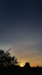 Captivating sunset paints the sky with warm hues, creating dramatic silhouettes of trees and a person against the twilight gradient, embodying serene nature at dusk