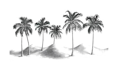 Engraved Palm Trees with Curved Canopy, dune edge silhouettes, desert oasis vector illustration, hot climate landscape, sand dunes, tropical nature scene, sunset background, exotic vegetation.