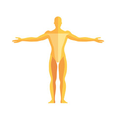 Geometric Golden Human Figure Standing with Arms Outstretched on White Background Anatomical Silhouette