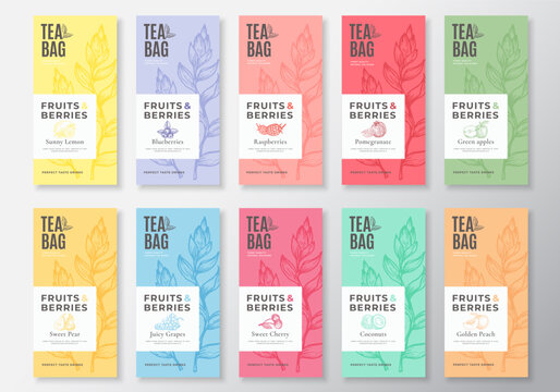 Fruit and Berries Tea Labels Collection. Abstract Vector Packaging Design Layouts Set with Realistic Shadows. Modern Typography, Hand Drawn Tea Leaves Silhouettes Background. Beverage Emblems Isolated