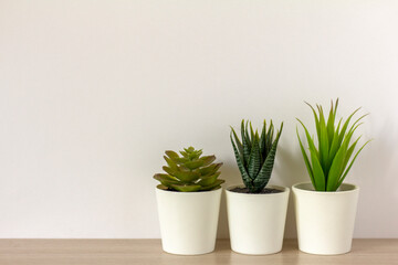 Indoor artificial plants, various succulents in pots. Succulents in white mini-pots. Ideas for home decoration. Copy space.