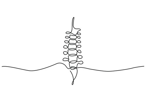 line art of Spinal cord . Human body element vector illustratio nmedical concept.