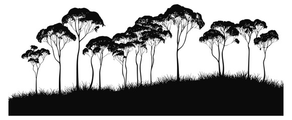 Wild eucalyptus tree silhouette, rainforest forest art, nature clipart, black tree, spring scenery, tropical plants, environmental illustration, tree vector, vector illustration, natural habitat © aura studio