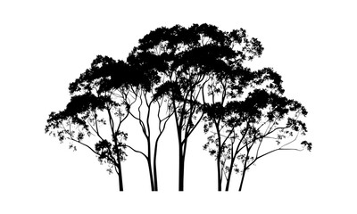 Spring rainforest tree silhouette, eucalyptus wild tree, forest black tree, nature clipart, botanical vector, jungle foliage, tropical landscape, vector illustration, organic design
